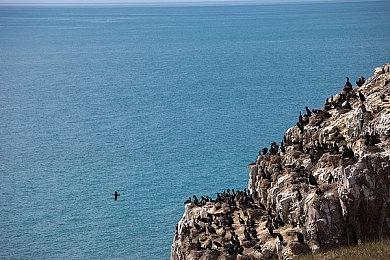 《异形：坠入黑暗》开放预购并推出一支精彩的预告片