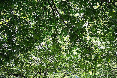 多人联机恐怖解谜 《人魅》宣布6月3日登陆Steam